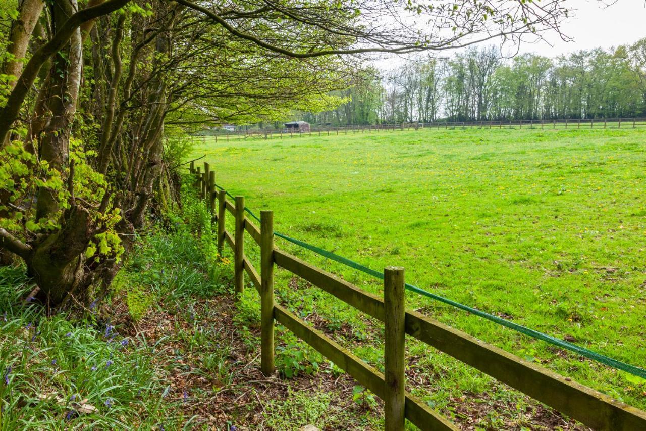 Southcott Farm Cottage Honiton Ngoại thất bức ảnh